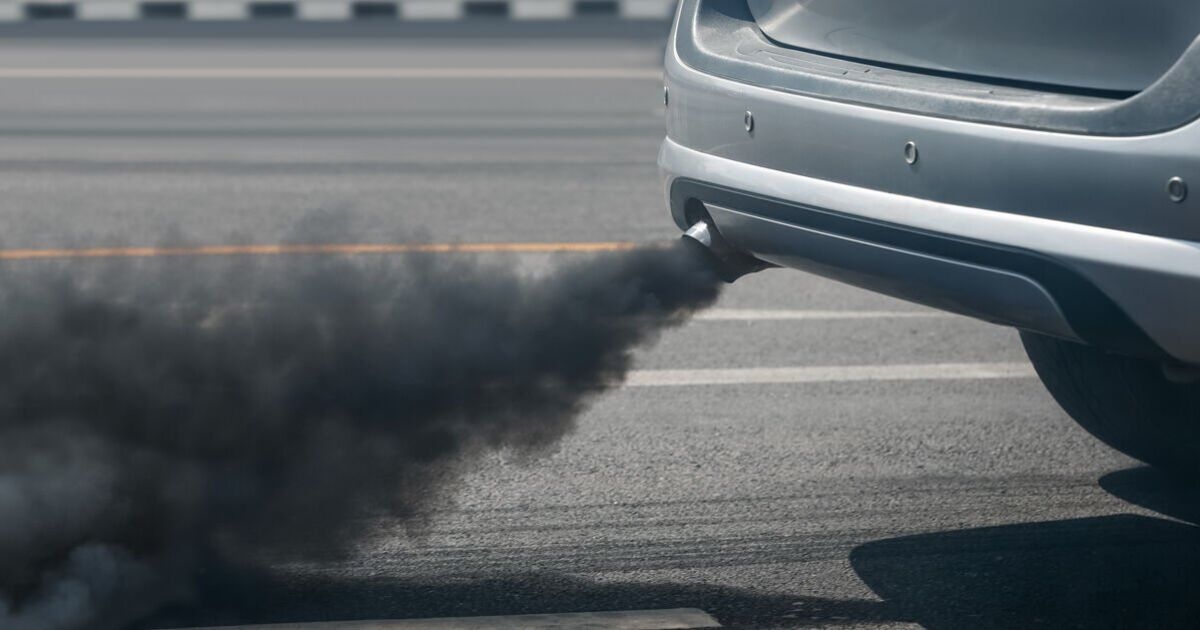 Petrol and diesel habit should be ‘condemned to the dustbin’ amid calls for bigger fines