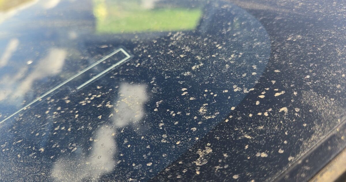 Drivers wake up to sticky substance plastered all over cars