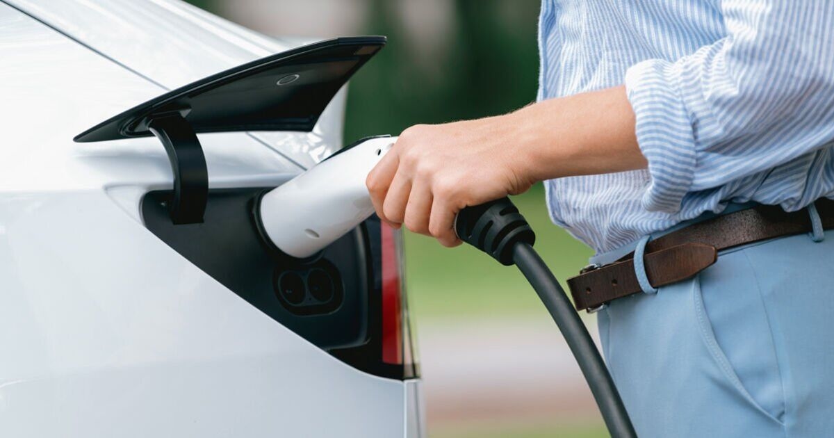Brand new car could be ‘incompatible’ with most UK electric plugs, experts warn