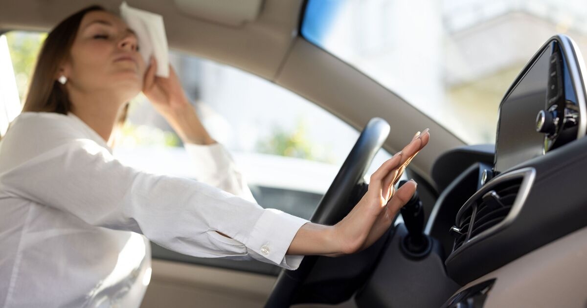 Expert reveals technique to 'cool cars in minutes'