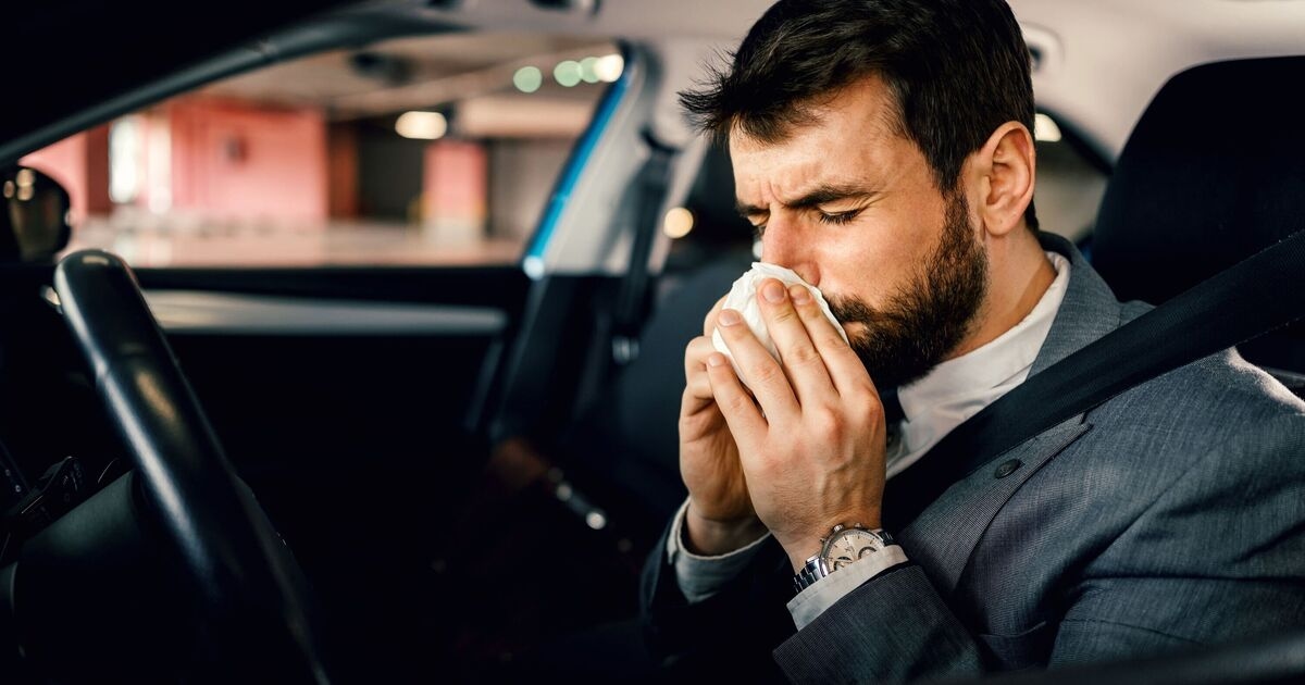 Un experto afirma que los conductores con fiebre del heno podrían enfrentarse a una multa de 2.500 libras y al riesgo de una "prohibición de conducir".