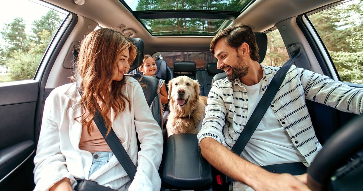 Motoristas são alertados sobre 7 acessórios populares para carros que podem invalidar o seguro