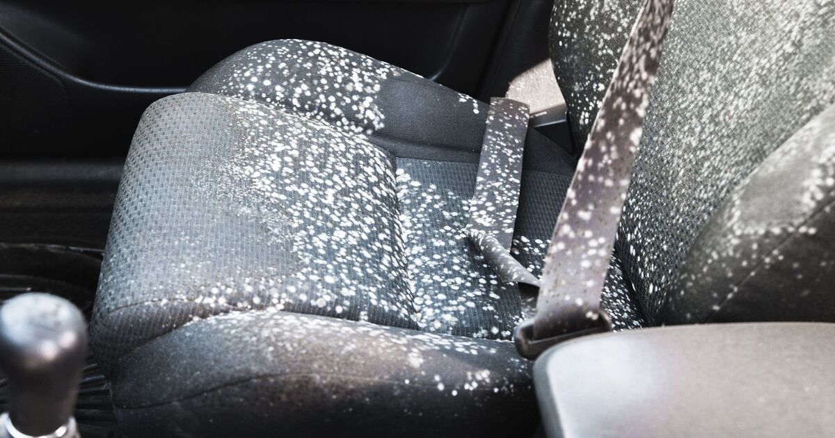 Your car will stay mould free if you stop doing 1 thing right now