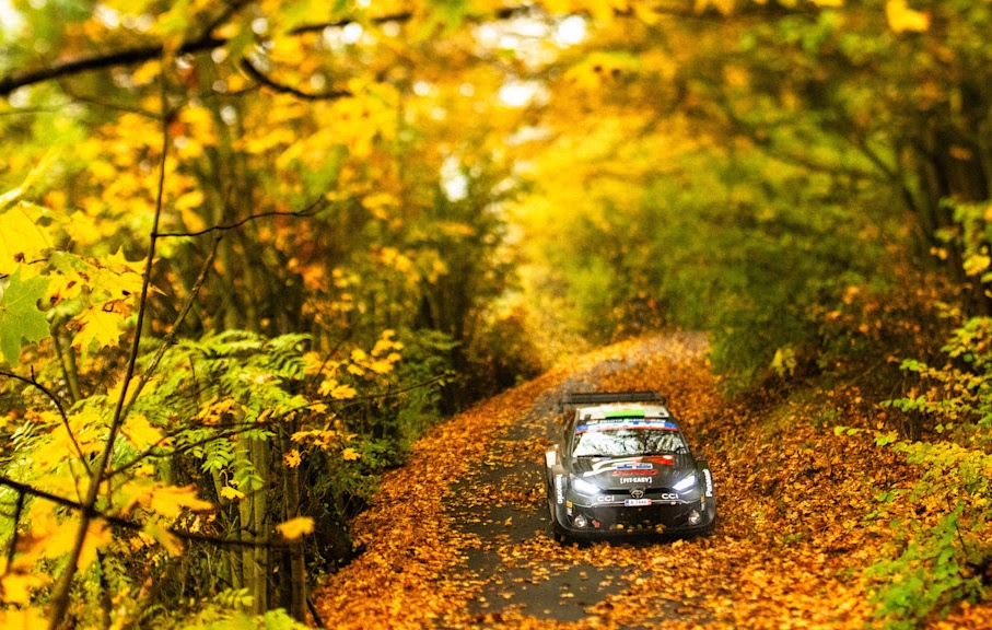 Toyota Leads Hyundai Heading To Central Europe