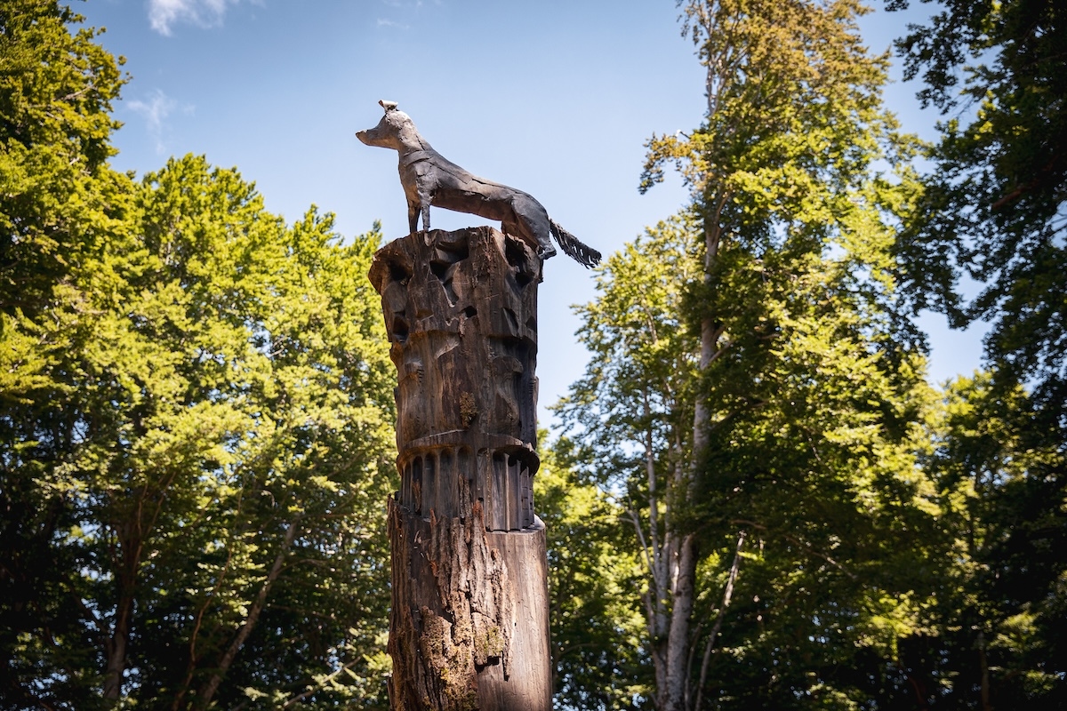 ARTEPARCO 2025: BMW ondersteunt hedendaagse kunst in de natuur.