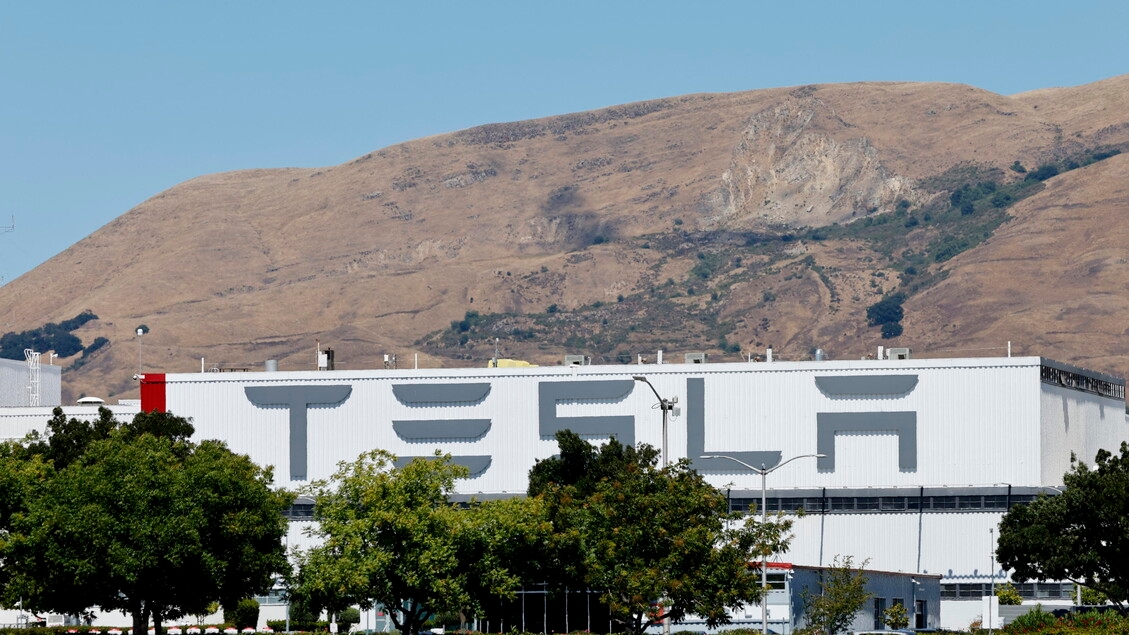 Musk ve Tesla'ya karşı toplu dava, dolandırıcılık ve Robotaxi verilerinin gizlenmesi