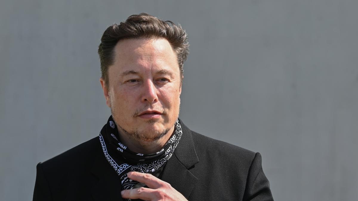 Die Daten, die Tesla seinen Nutzern aufgrund "möglicher wirtschaftlicher Schäden" nicht zur Verfügung stellt und die andere Hersteller zeigen