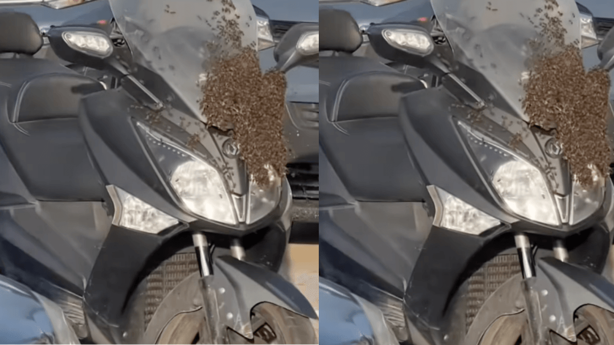 Er stellt sein Motorrad auf einem Parkplatz im Freien in Valencia ab und was er bei seiner Rückkehr vorfindet, ist erschreckend: „Ich gehe nicht näher heran.“