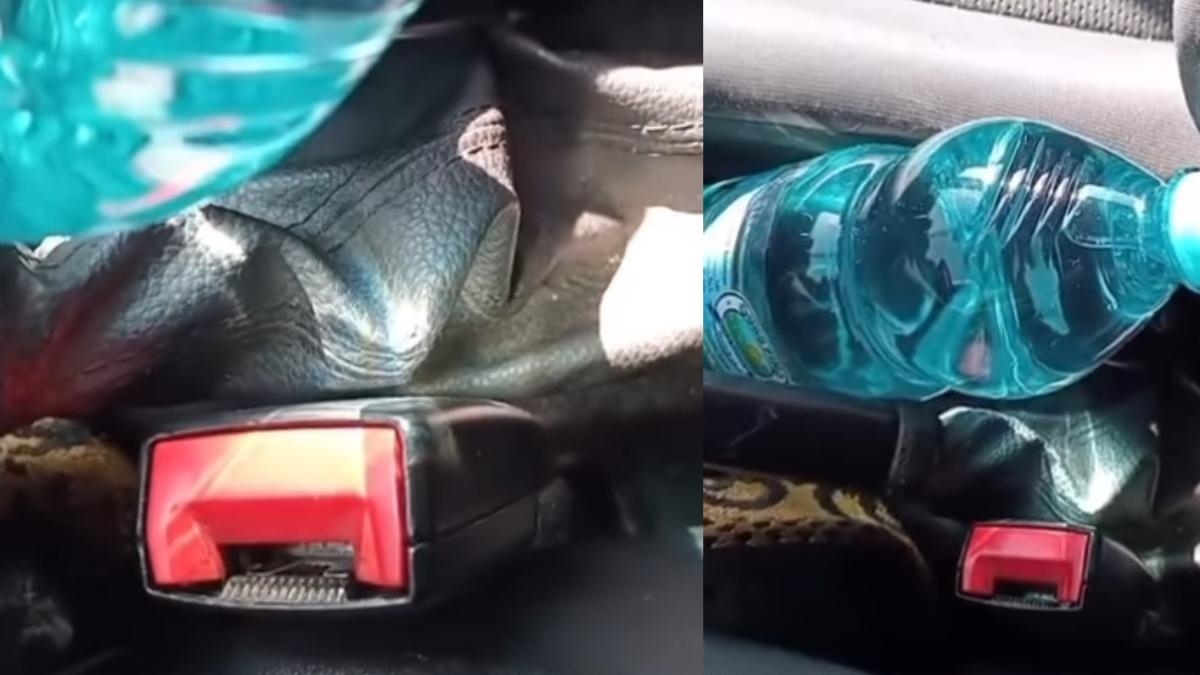An expert warns of the danger of leaving a water bottle like this in the car during the summer to combat the heat: "It creates a convex lens effect and will concentrate the light; keep it hidden from the sun."