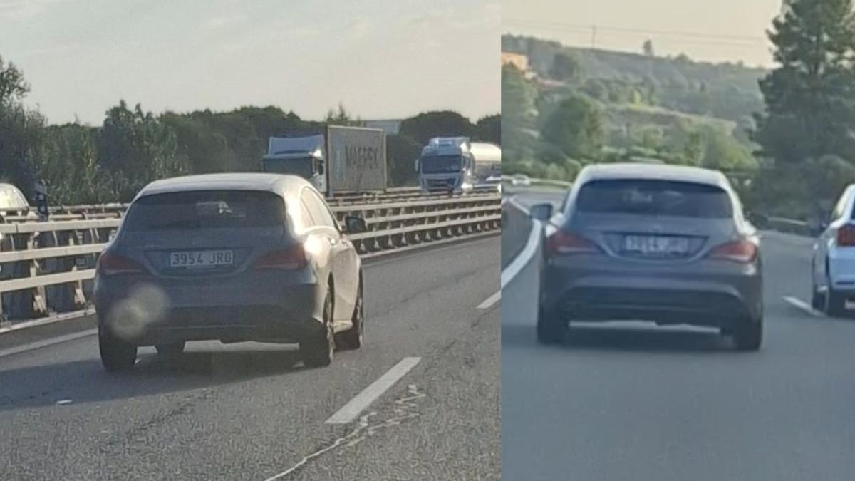 Ein Autofahrer sieht etwas Ungewöhnliches auf der Straße und alle geraten in Panik: „Wie hoch ist die Wahrscheinlichkeit, so etwas in Spanien zu finden?“