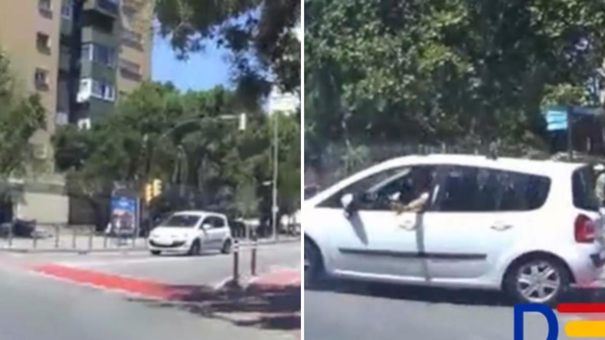 Hospitalet de Llobregat'ta bir aracın kavşağa girerken yaptığı dikkatsiz manevra neredeyse bir kazaya sebep oluyordu: "En azından özür diledi."