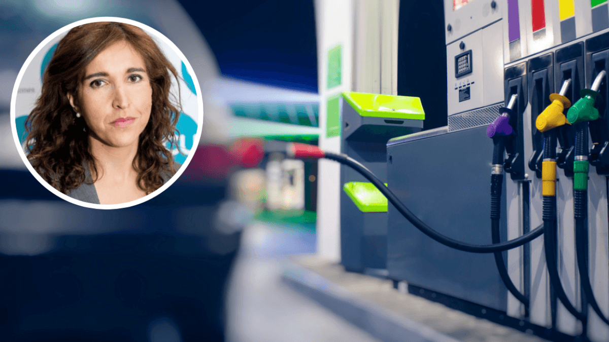 Ileana Izverniceanu de la Iglesia, portavoce dell'OCU (Unione nazionale dei consumatori e delle organizzazioni per la tutela dei consumatori): "Sebbene sia ovvio che ci sia un errore nel prezzo del carburante di 13 centesimi al litro, la stazione di se...