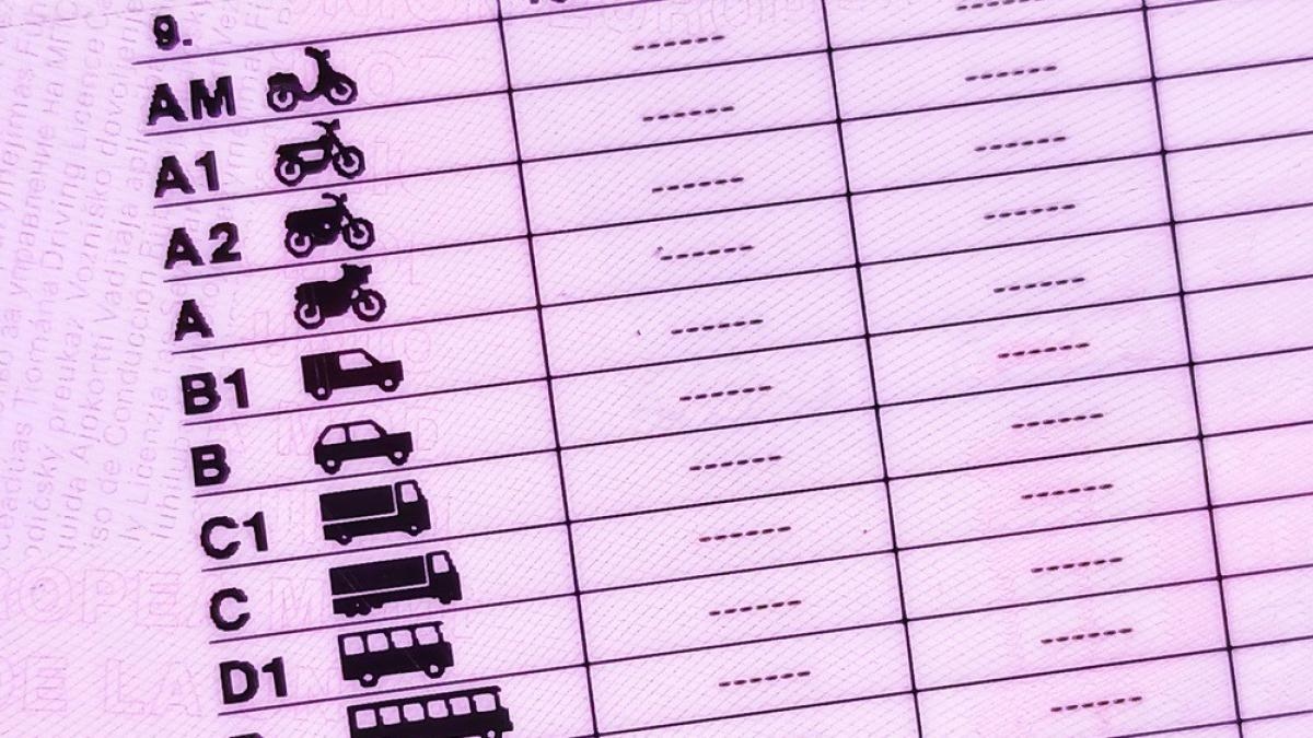 Europe updates the driver's license: what changes and how it will affect you