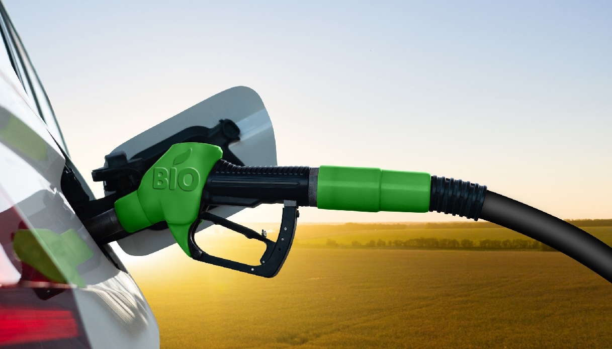 Biocombustibles, cómo se producen y qué son: la opción para el futuro