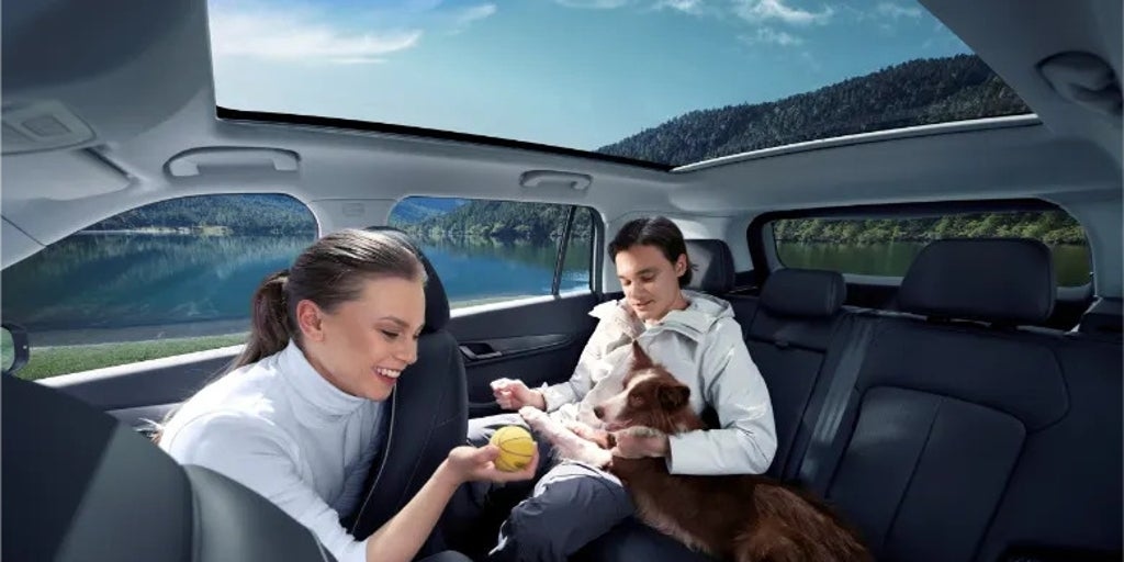 Das ist der Jaecoo 5: Der haustierfreundliche SUV, den Sie brauchen, wenn Ihr Haustier an erster Stelle steht.