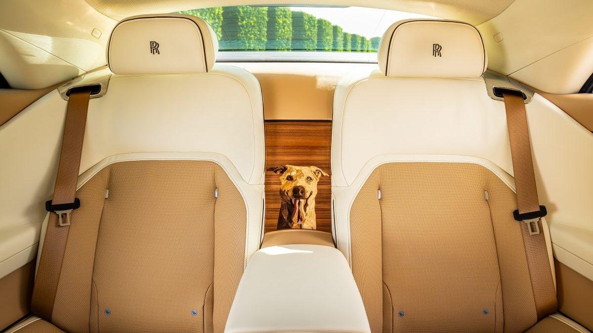 L'esclusiva Rolls-Royce ispirata all'animale domestico del suo proprietario